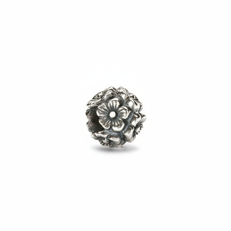 Trollbeads Fiore Di Sambuca