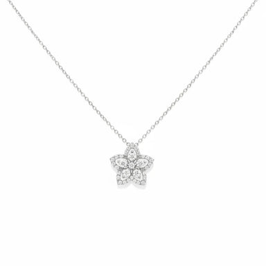 Collana Salvini Coll. Magia